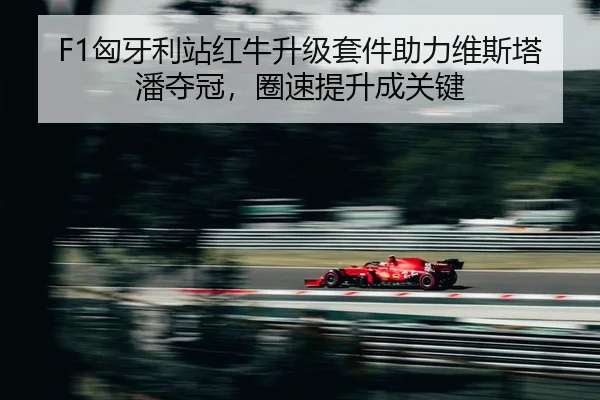 xiong-ya-li-zhan-hong-niu-sheng-ji-tao-jian-zhu-li-wei-si-ta-pan-duo-guan-quan-su-ti-sheng-cheng-guan-jian-2-654.jpg