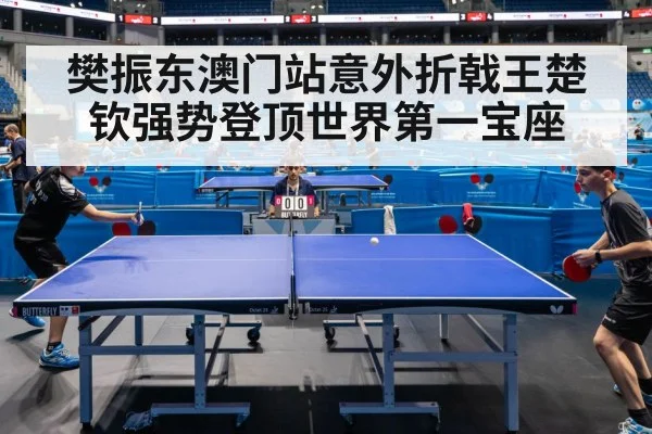 樊振东澳门站意外折戟王楚钦强势登顶世界第一宝座
