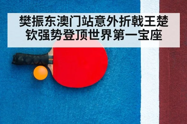 table tennis racket