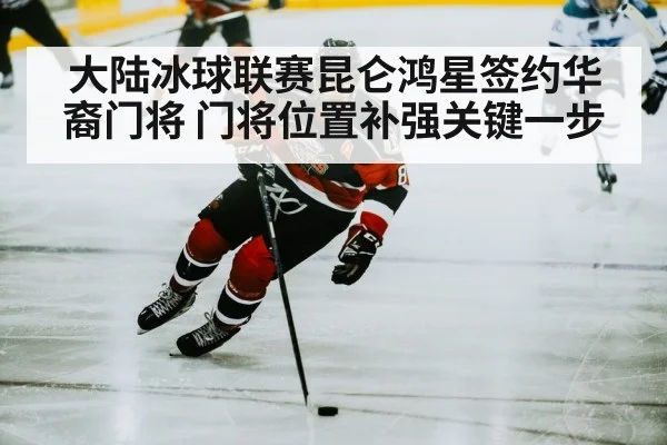 ice hockey player